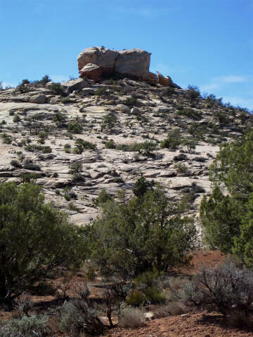 Walnut Knob as seen from the trailhead