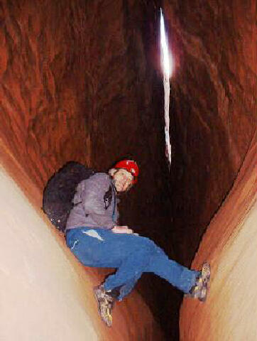 In the belly of the beast