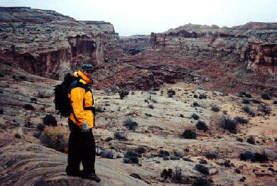 Looking into Horseshoe Canyon