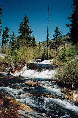 Stream into Lake Lillian 