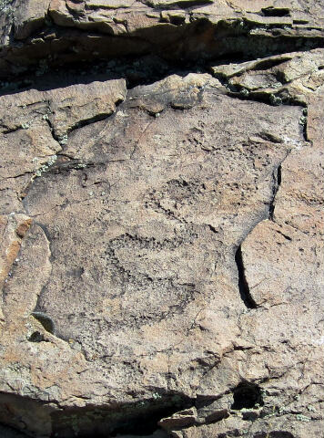 Provo Canyon Rattlesnake Petroglyph