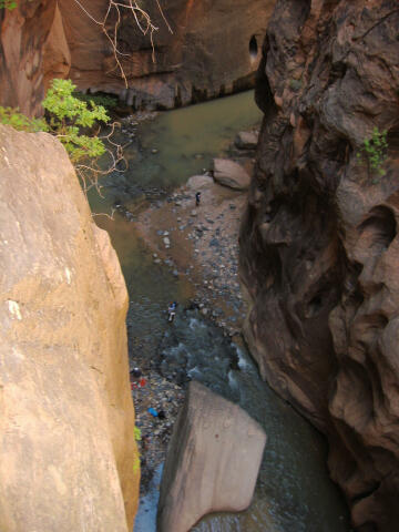 Looking down on the Zion Narrows