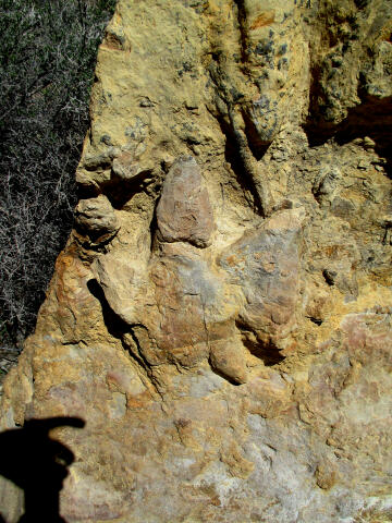 Parowan Gap Dinosaur Tracks