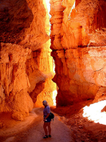 Wall Street in Bryce Canyon