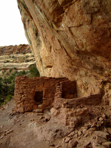 Beaver Pond Ruins in Arch Canyon