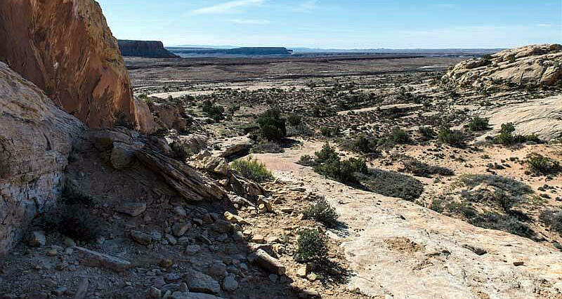 Big Crane Butler Wash in Cedar Mesa