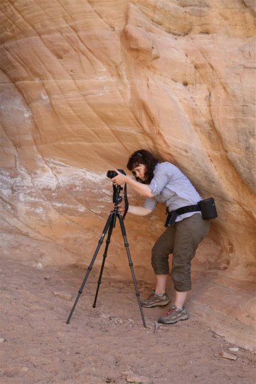 Doll House Anasazi Ruin - Cedar Mesa