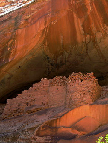 Cedar Mesa Ruins