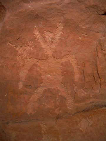 Petroglyph