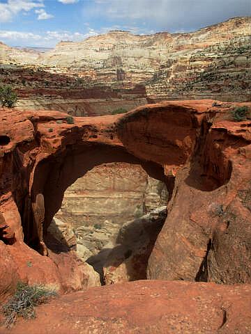 Cassidy Arch - Capitol Reef National Park