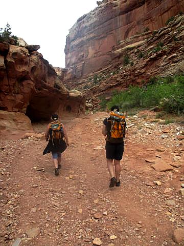 Cassidy Arch - Capitol Reef National Park