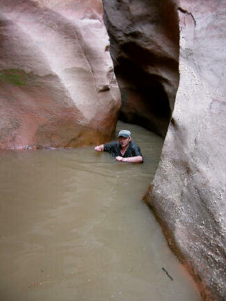 Swimming through Cottonwood Wash