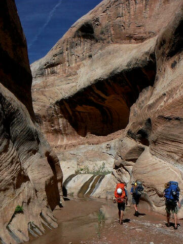 Halls Creek Narrows - Capitol Reef National Park