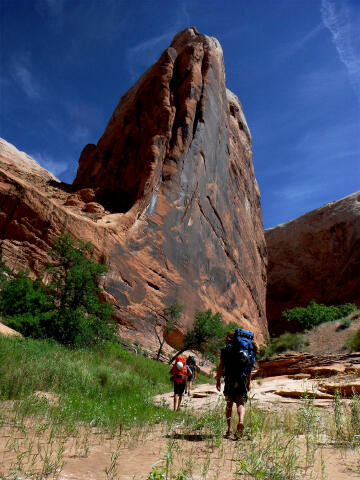 Halls Creek Narrows - Capitol Reef National Park