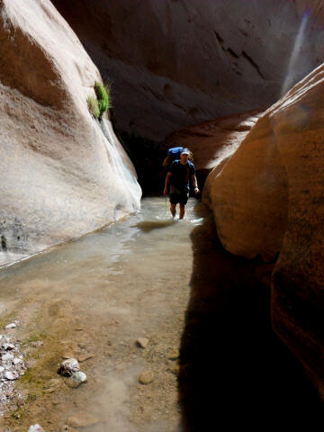 Halls Creek Narrows - Capitol Reef National Park