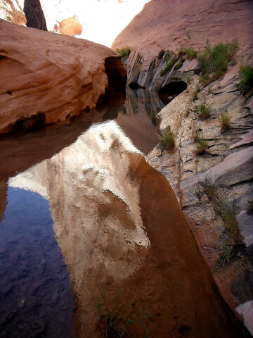 Halls Creek Narrows - Capitol Reef National Park