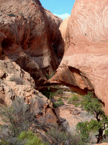 Happy Dog Canyon - Capitol Reef National Park