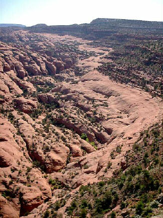 South Fork of Choprock Canyon