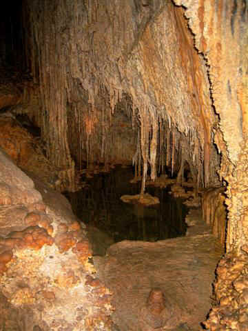 Lehman Cave