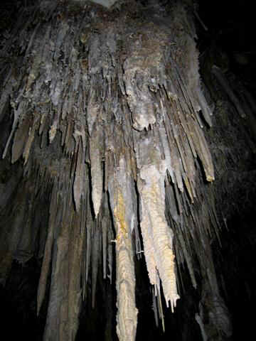 Lehman Cave