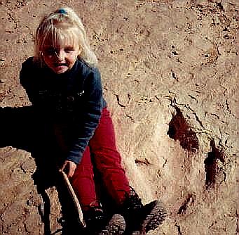 Stormy and a Dino Track