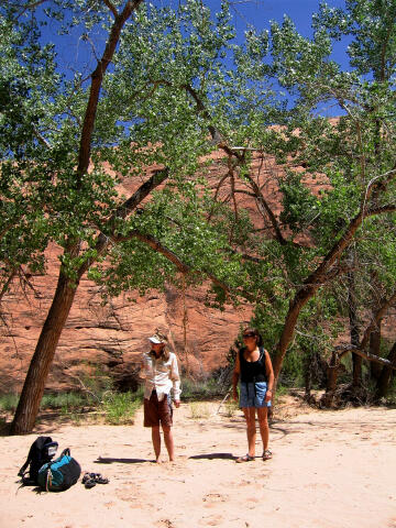 Courthouse Wash