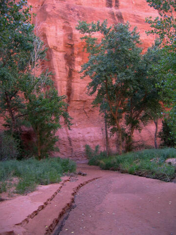 One several tributaries of Courthouse Wash.