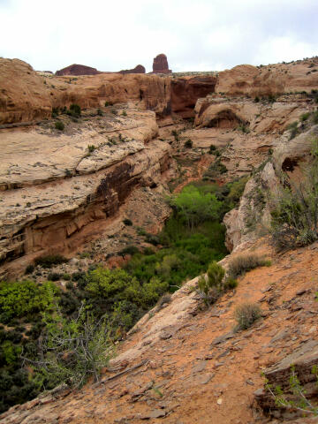 Looking into Spring Canyon