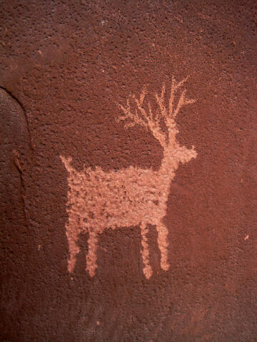 Hidden Valley Petroglyph