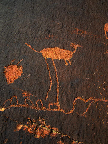 Hog Canyon Petroglyphs