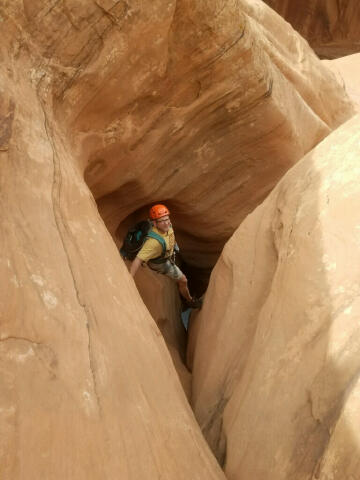 Lizard Country - Moab