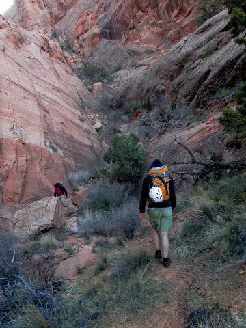 Mastodon Canyon - Moab