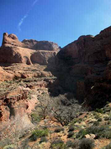 Mastodon Canyon - Moab