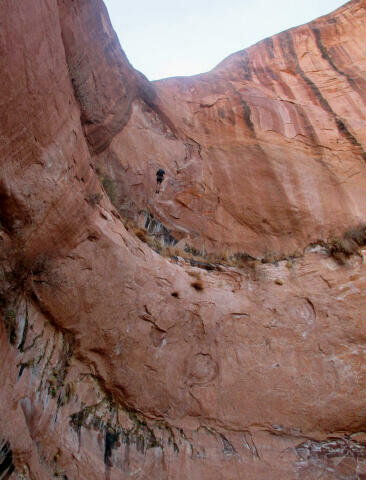 Moonflower Canyon - Moab