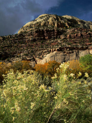 Looking south from Newspaper Rock