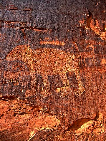 Famous Bear Petroglyph