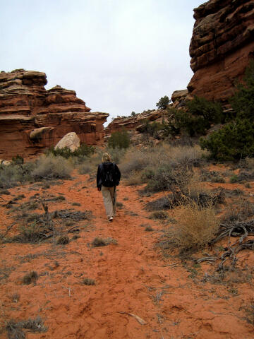 Hiking the upper reaches of Seven Mile Canyon