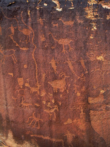 Shay Canyon Petroglyphs