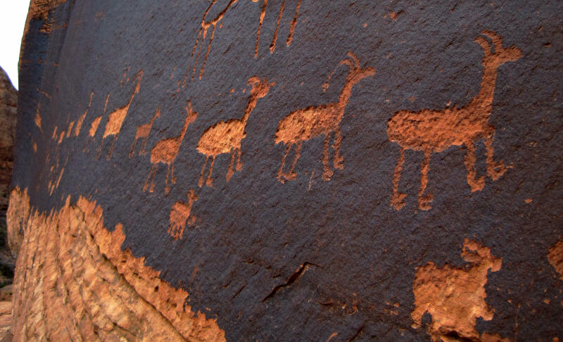 Big Horn Sheep Petroglyph Panel