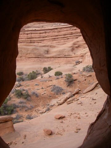 Looking out of The Tunnel