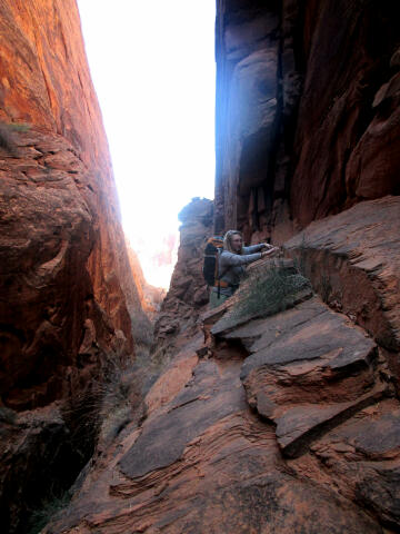 Upper Cut Canyon - Moab