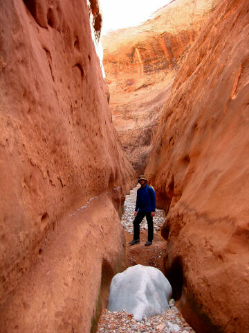 Lower Maidenwater Canyon