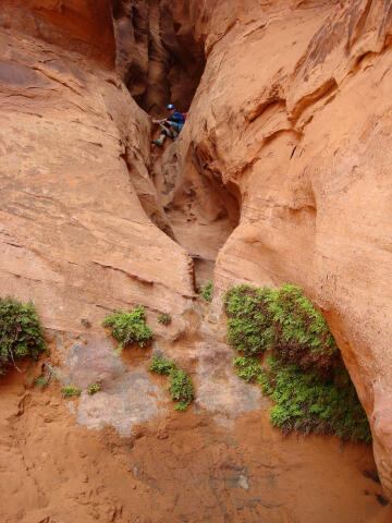 Paradiso Canyon - Lake Powell