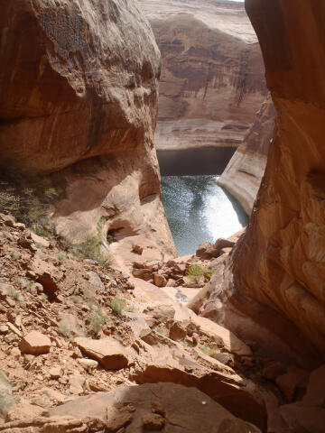 Tinnitus Canyon - Lake Powell