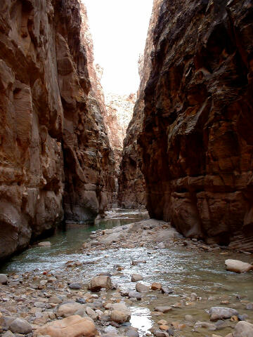 The Chute of Muddy Creek