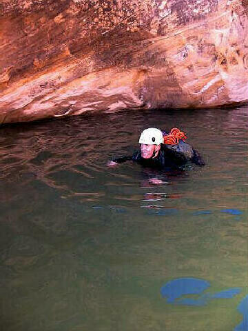 Lots of swimming
