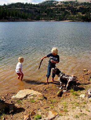 Sierra, Stormy and Ambush playing in the lake.