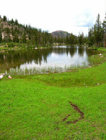 Hayden Lake