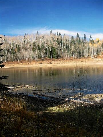 Dog Lake