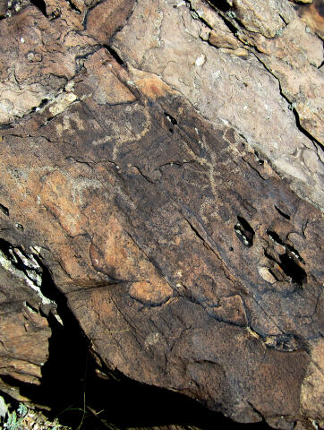 Provo Canyon Petroglyphs